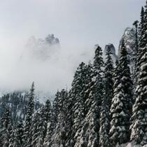 Snowy day in the North Cascades