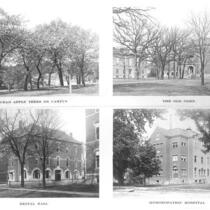 Crab apple trees, Old Oaks, Dental Hall, Homeopathic Hospital, The University of Iowa, 1900s