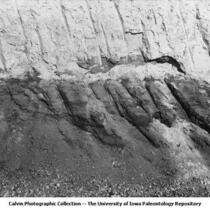 Railway cut showing Aftonian peat bed overlain by Kansan drift, Oelwein, Iowa, late 1890s or early 1900s