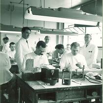 Dental students in a laboratory, The University of Iowa, June 1953