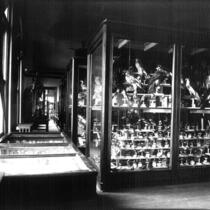 Museum cases in Old Science Hall, The University of Iowa, 1904
