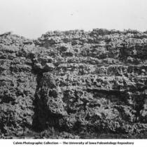 Weathered face of Galena Limestone near Walter's Furnace, Dubuque, Iowa, late 1890s or early 1900s